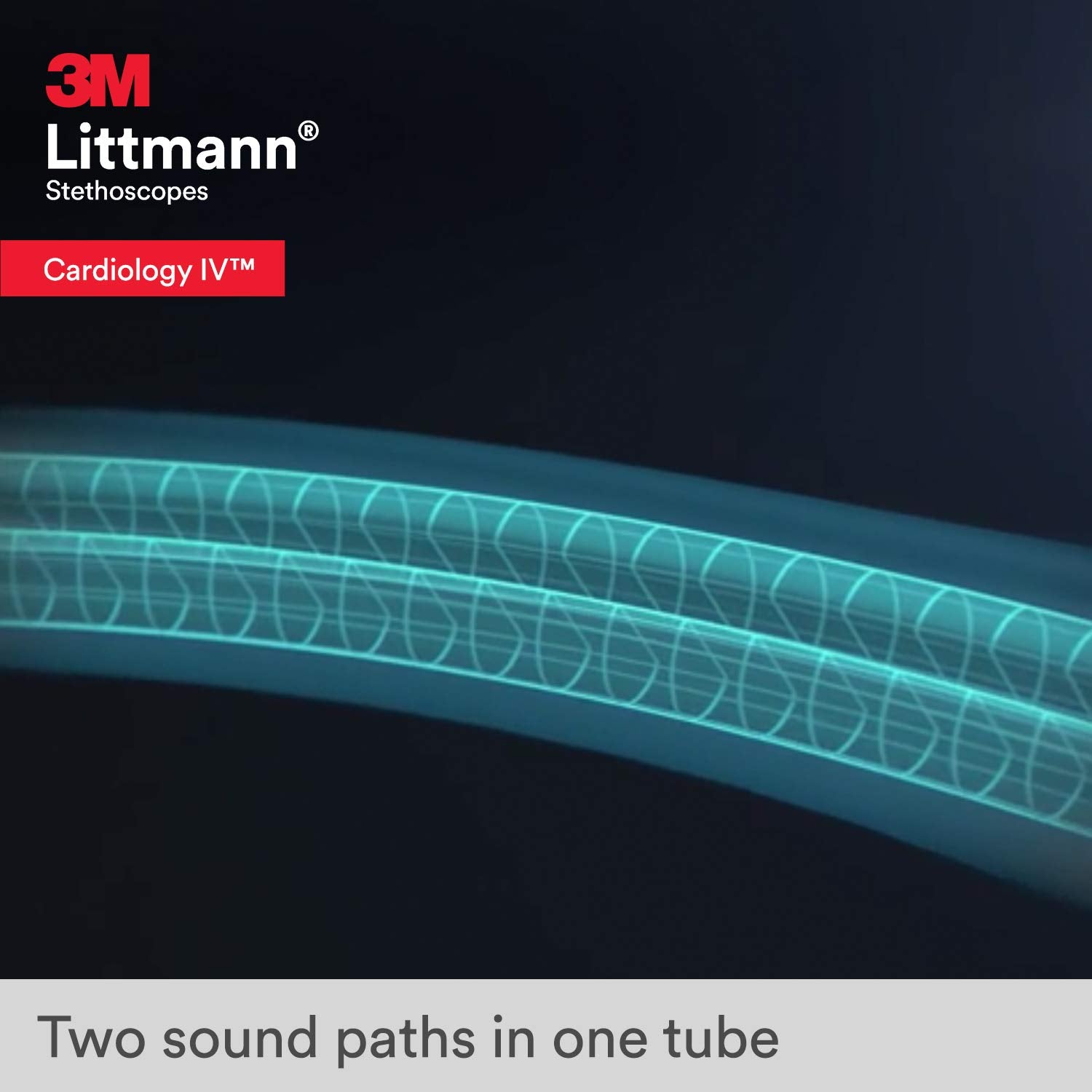3M™ Littmann® Cardiology IV™ Diagnostic Stethoscope - 6234